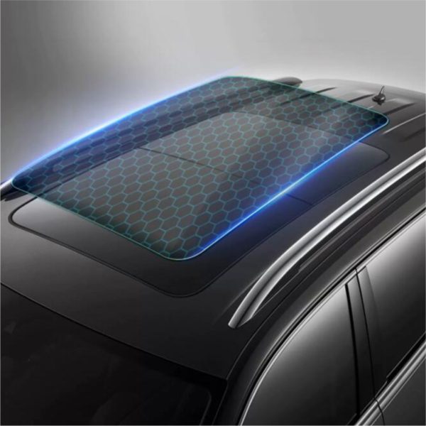 TPU-Skylight Black Paint Protection Film